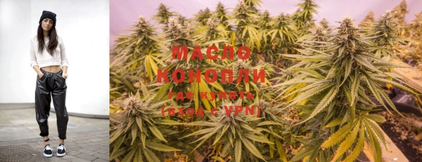 гашик Михайловка
