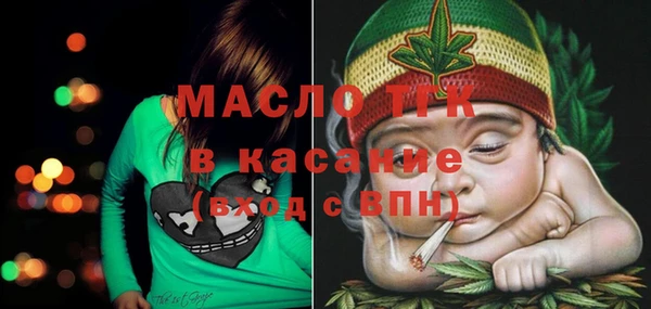 гашик Михайловка