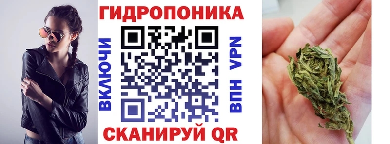 Купить  Каменка  Бошки Шишки конопля 